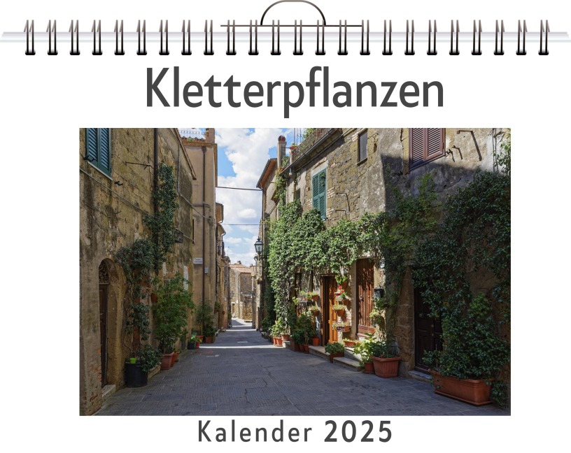 Kletterpflanzen - (Wandkalender 2025, Kalender DIN A4 quer, Monatskalender im Querformat mit Kalendarium, das perfekte Geschenk) - Zoe Friedrich