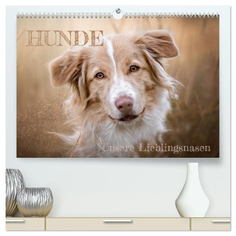 Hunde - Unsere Lieblingsnasen (hochwertiger Premium Wandkalender 2025 DIN A2 quer), Kunstdruck in Hochglanz - Tierfotografie Andreas Kossmann