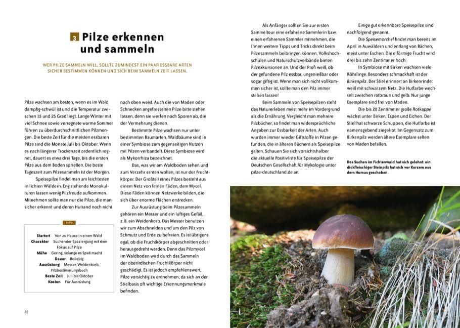 InsideView 3