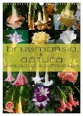 Brugmansia & Datura - Exotische Schönheiten (Wandkalender 2024 DIN A3 hoch), CALVENDO Monatskalender - Martina Cross