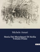 Cover-Bild zum Titel 'Storia Dei Musulmani Di Sicilia Volume Primo' von 'Michele Amari'
