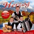 Ja in den Bergen - Familienmusik Herzog