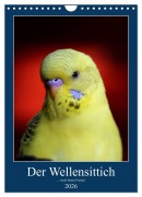 Cover-Bild zum Titel 'Der Wellensittich - mein bester Freund (Wandkalender 2026 DIN A4 hoch), CALVENDO Monatskalender' von 'Björn Bergmann'
