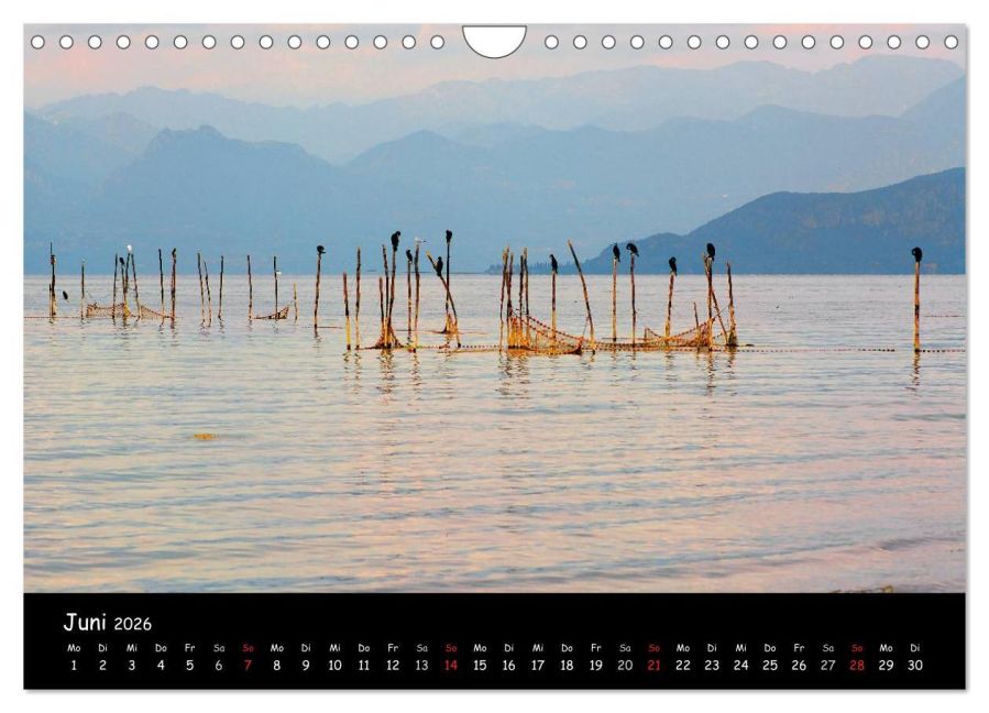 InsideView 11
