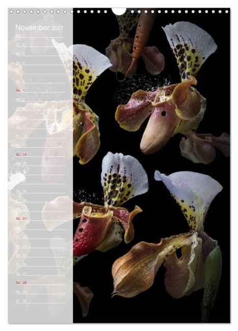 InsideView 3