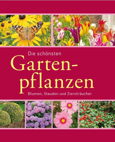 Die schönsten Gartenpflanzen - Joachim Mayer, Folko Kullmann