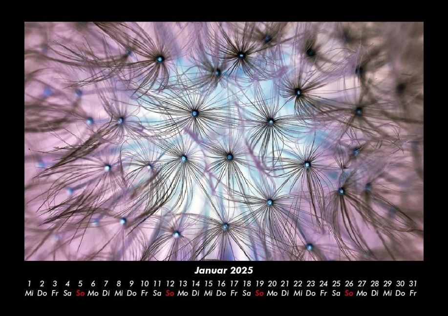 InsideView 5