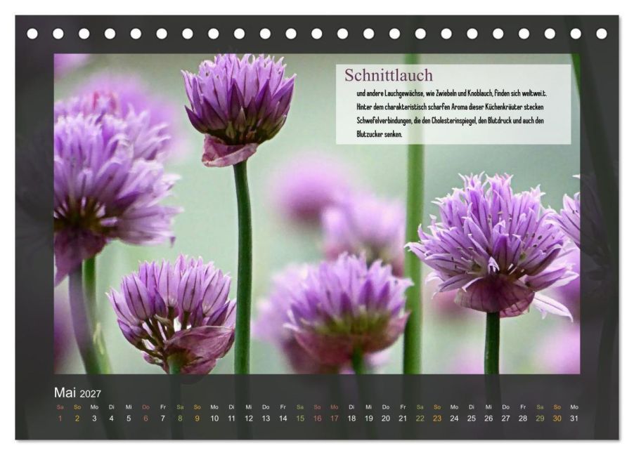 InsideView 10