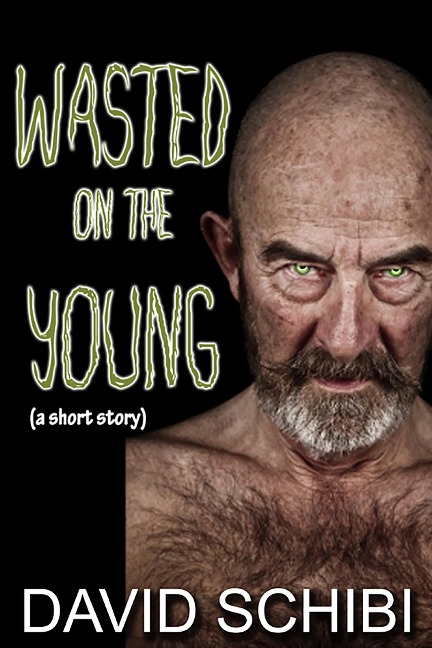 Wasted On The Young - David Schibi