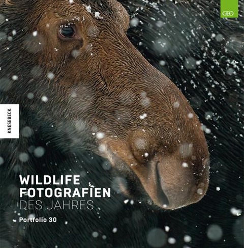 Wildlife Fotografien des Jahres - Portfolio 30 - 