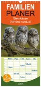 Cover-Bild zum Titel 'Familienplaner 2026 - Steinkäuze (Athene noctua) mit 5 Spalten (Wandkalender, 21 x 45 cm) CALVENDO' von 'Winfried Rusch'