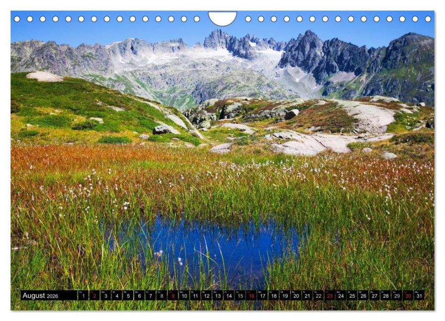 InsideView 13