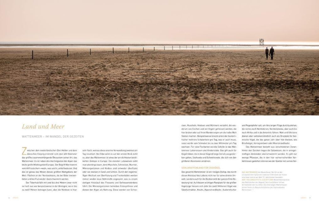 InsideView 2