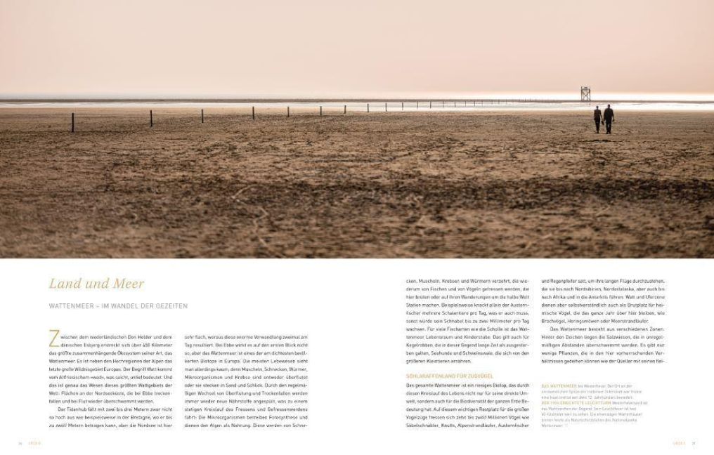InsideView 2