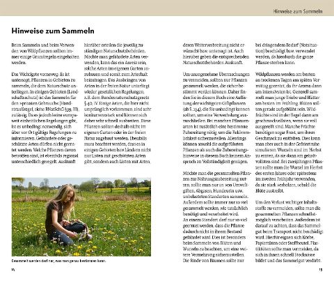 InsideView 3