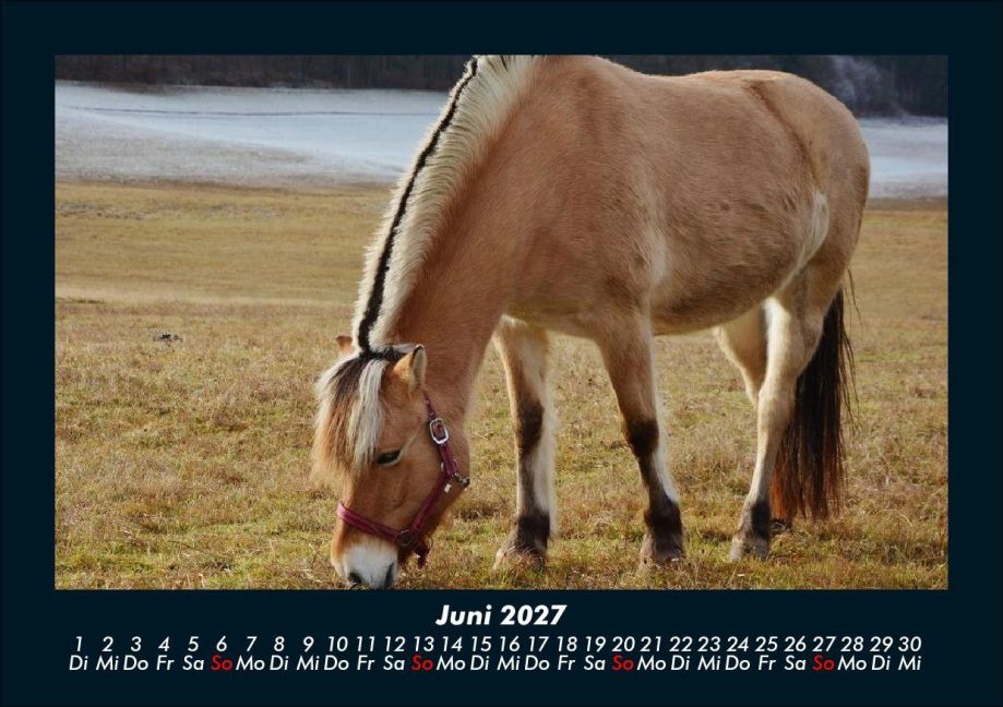 InsideView 10