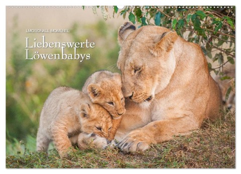 Emotionale Momente: Liebenswerte Löwenbabys / CH-Version (Wandkalender 2025 DIN A2 quer), CALVENDO Monatskalender - Ingo Gerlach GDT