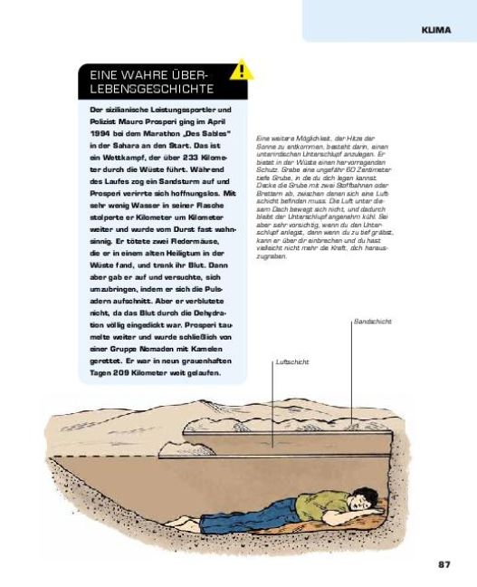 InsideView 8