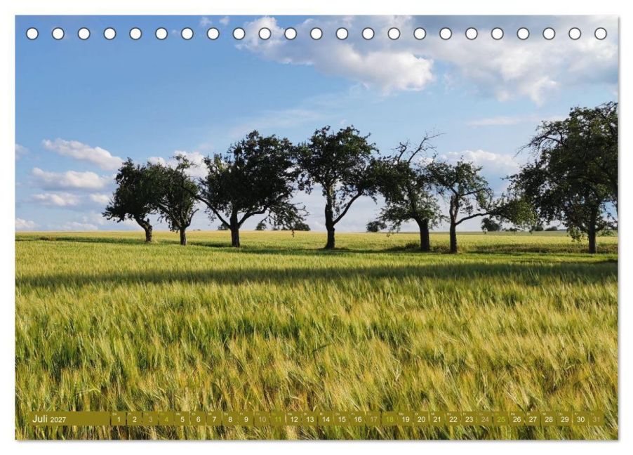 InsideView 12