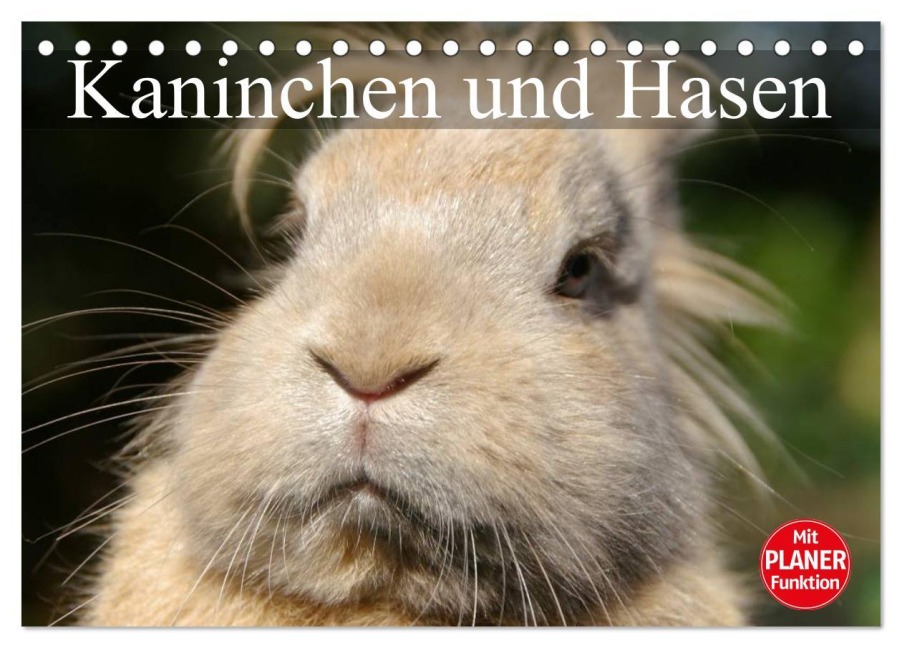 Kaninchen und Hasen (Tischkalender 2026 DIN A5 quer), CALVENDO Monatskalender - Elisabeth Stanzer