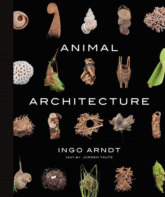 Animal Architecture - Ingo Arndt, Jürgen Tautz
