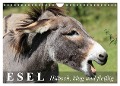 Esel - hübsch, klug und fleißig (Wandkalender 2024 DIN A4 quer), CALVENDO Monatskalender - Elisabeth Stanzer