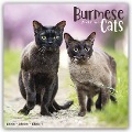 Burmese Cats - Burma Katzen 2024 - 16-Monatskalender - Avonside Publishing