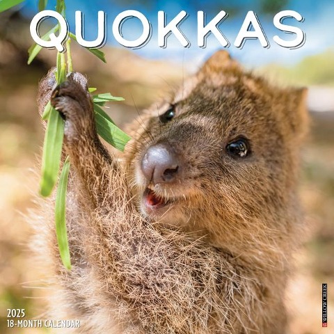 Quokkas 2025 12 X 12 Wall Calendar - Willow Creek Press