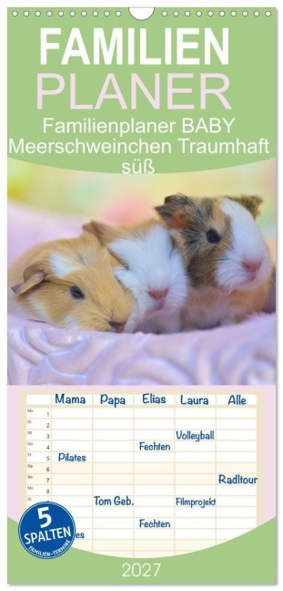 Familienplaner 2027 - Familienplaner BABY Meerschweinchen Traumhaft süß mit 5 Spalten (Wandkalender, 21 x 45 cm) CALVENDO - Sabine Hampe-Neves