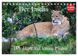 Cover-Bild zum Titel 'Der Luchs - Der Jäger auf leisen Pfoten (Tischkalender 2026 DIN A5 quer), CALVENDO Monatskalender' von 'Arno Klatt'