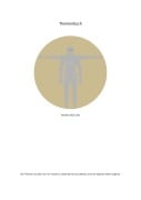 Cover-Bild zum Titel '"Das Buch"' von 'Mark Hood (14)'