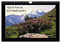 Alpine Flora in der Homöopathie (Wandkalender 2025 DIN A4 quer), CALVENDO Monatskalender - Claudia Schimon