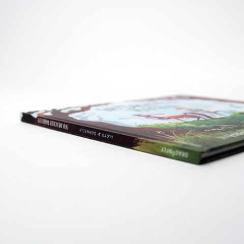 InsideView 2