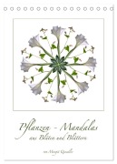 Cover-Bild zum Titel 'Pflanzen - Mandalas aus Blüten und Blättern (Tischkalender 2026 DIN A5 hoch), CALVENDO Monatskalender' von 'Margit Quendler'