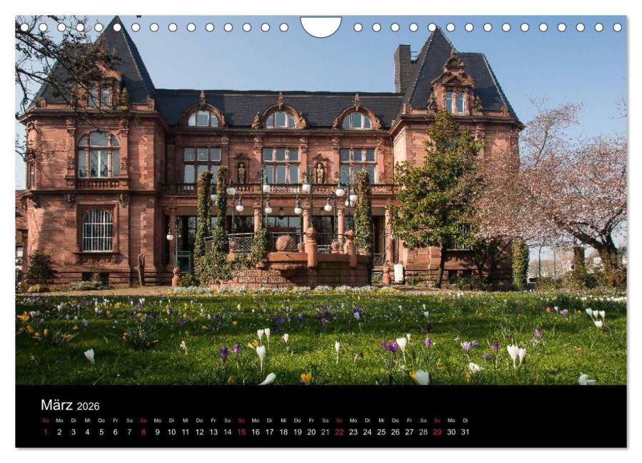 InsideView 8