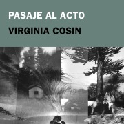 Cover-Bild zum Titel 'Pasaje al acto' von 'Virginia Cosin'