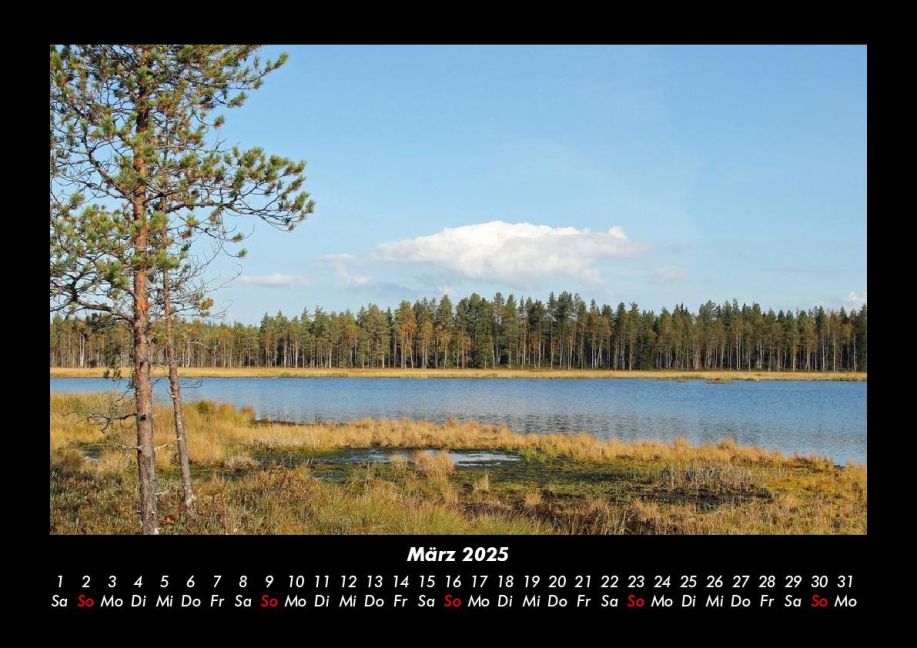InsideView 7