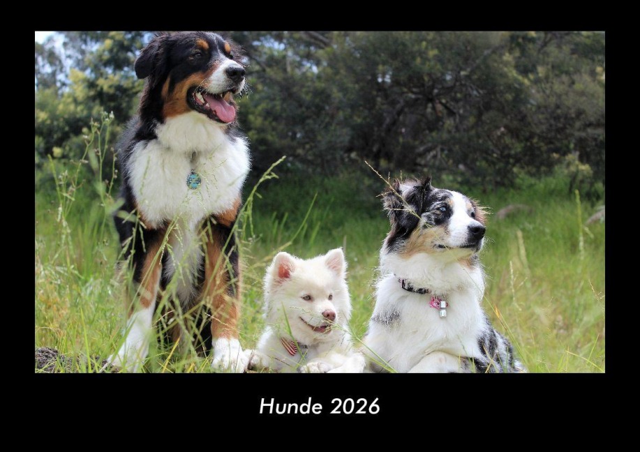 Hunde 2026 Fotokalender DIN A3 - Tobias Becker