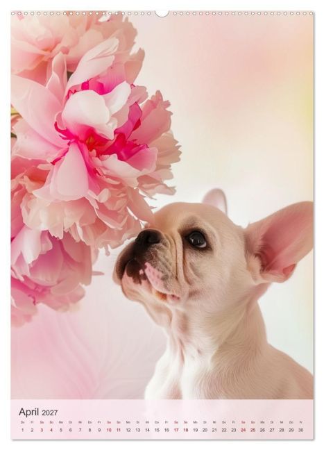 InsideView 9