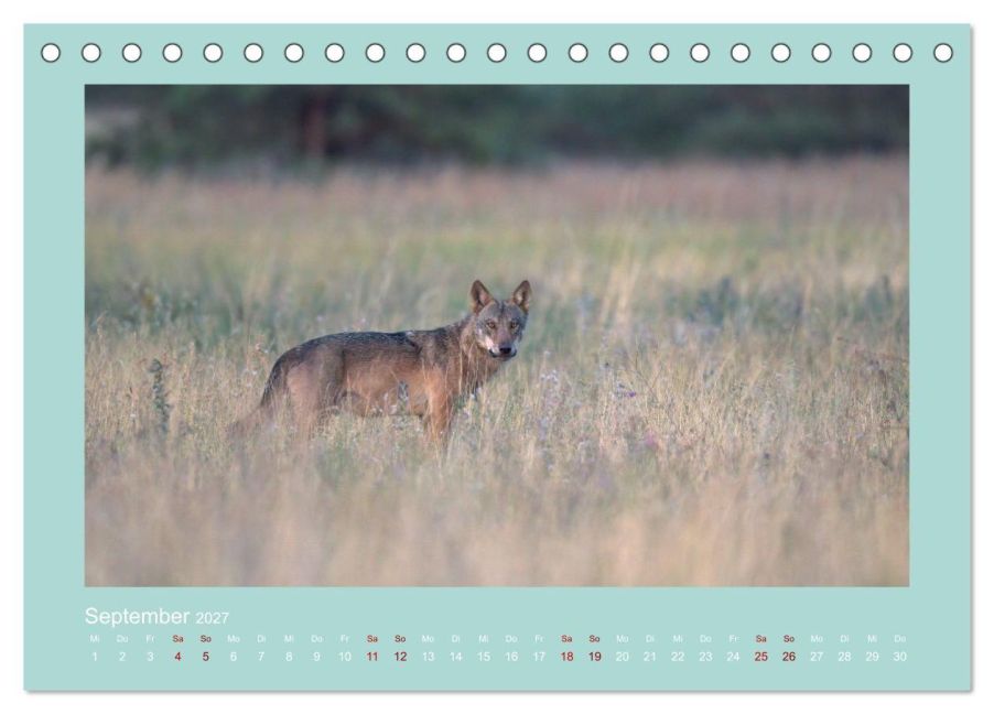 InsideView 14