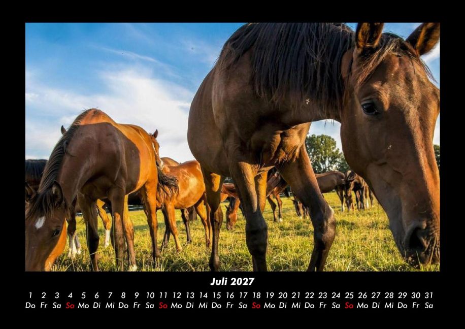 InsideView 11