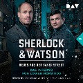 Cover-Bild zum Titel 'Sherlock & Watson ¿ Neues aus der Baker Street: Das Inferno von Lower Norwood (Fall 11)' von 'Viviane Koppelmann'