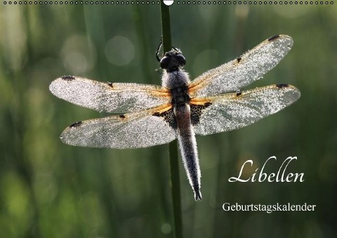 Libellen Geburtstagskalender (Wandkalender immerwährend DIN A2 quer) - Gudrun Nitzold-Briele