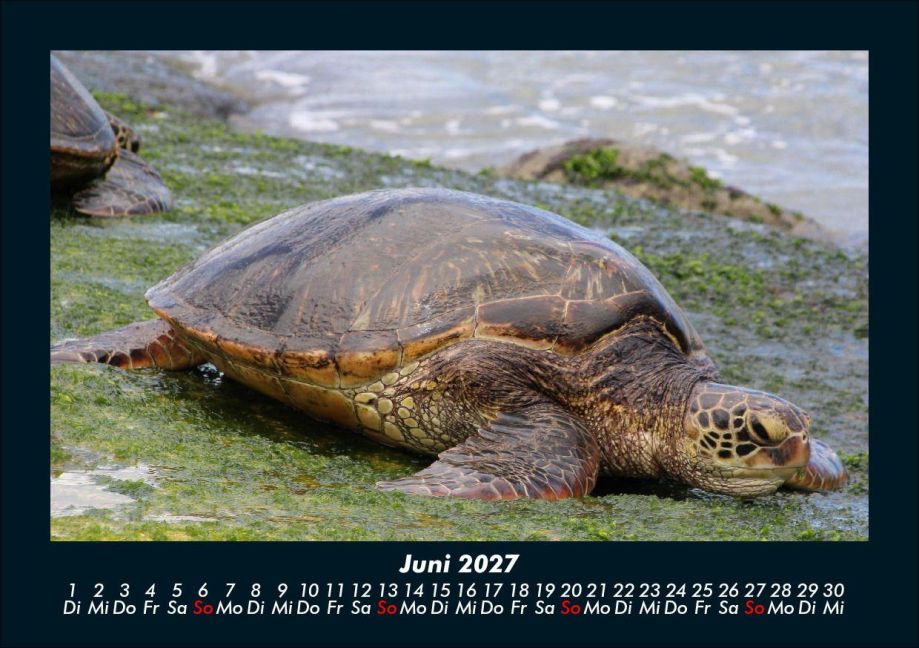 InsideView 10