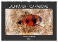 LAUFKÄFER - CARABIDAE (Wandkalender 2024 DIN A2 quer), CALVENDO Monatskalender - Steffen Schellhorn