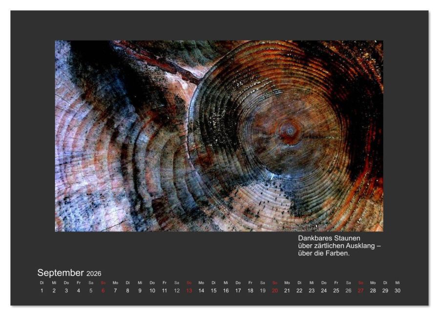 InsideView 14