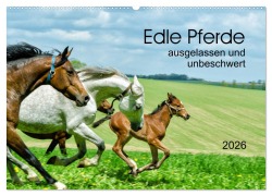 Cover-Bild zum Titel 'Edle Pferde - ausgelassen und unbeschwert (Wandkalender 2026 DIN A2 quer), CALVENDO Monatskalender' von 'Kerstin Waurick'
