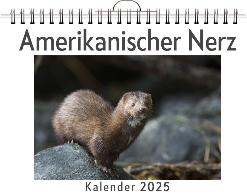 Amerikanischer Nerz - Tim Krause