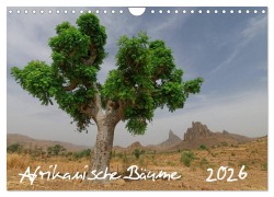 Cover-Bild zum Titel 'Afrikanische Bäume (Wandkalender 2026 DIN A4 quer), CALVENDO Monatskalender' von 'Gerald Wolf'
