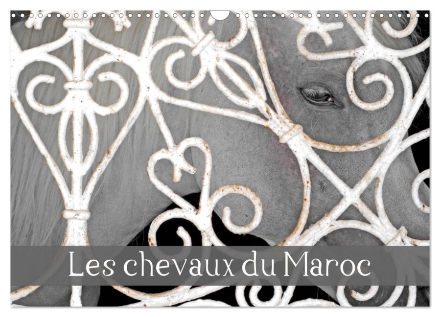 Les chevaux du Maroc (Calendrier mural 2026 DIN A3 vertical), CALVENDO calendrier mensuel - Patrice Thebault